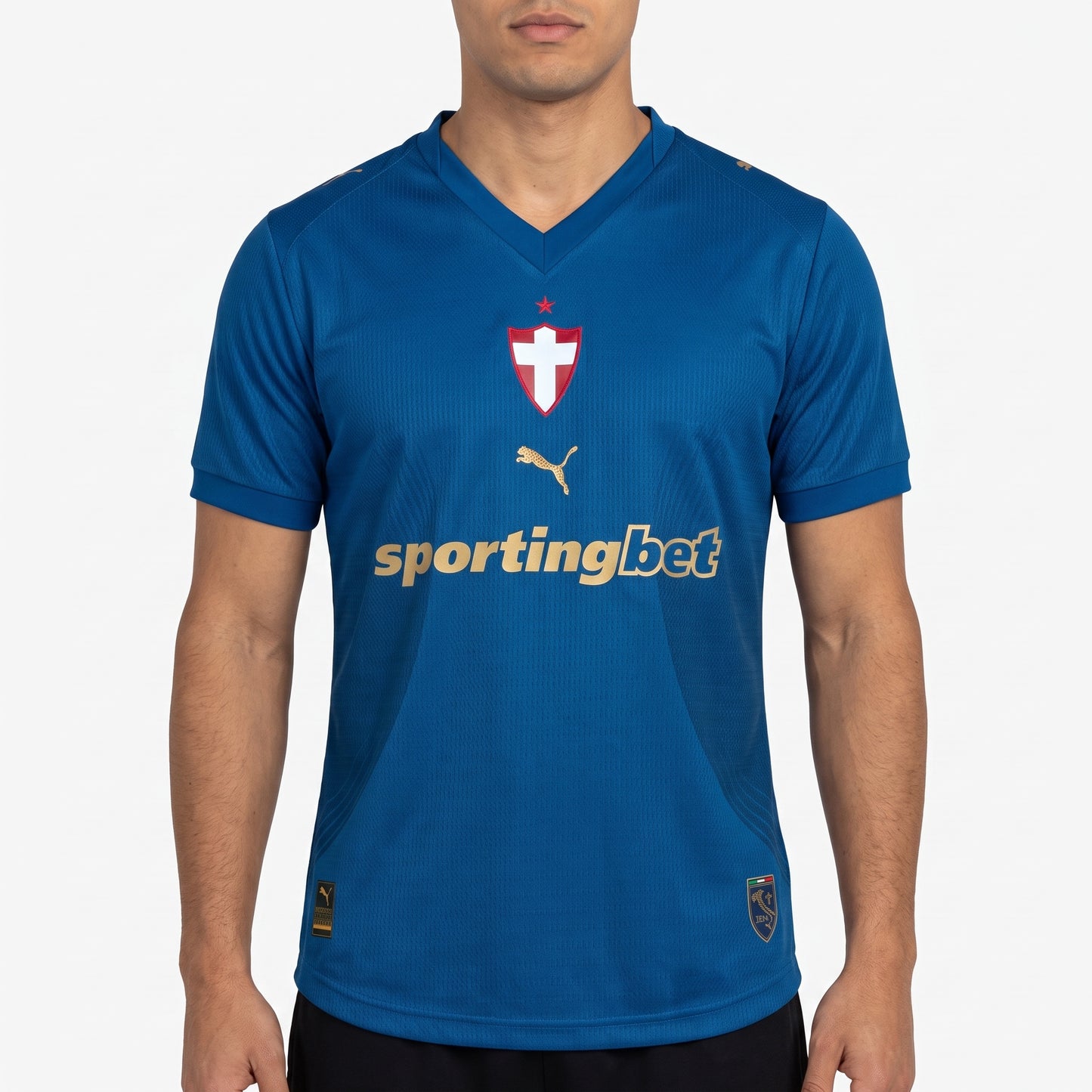 Palmeiras Third 26/27 Jogador Puma Masculina - Azul