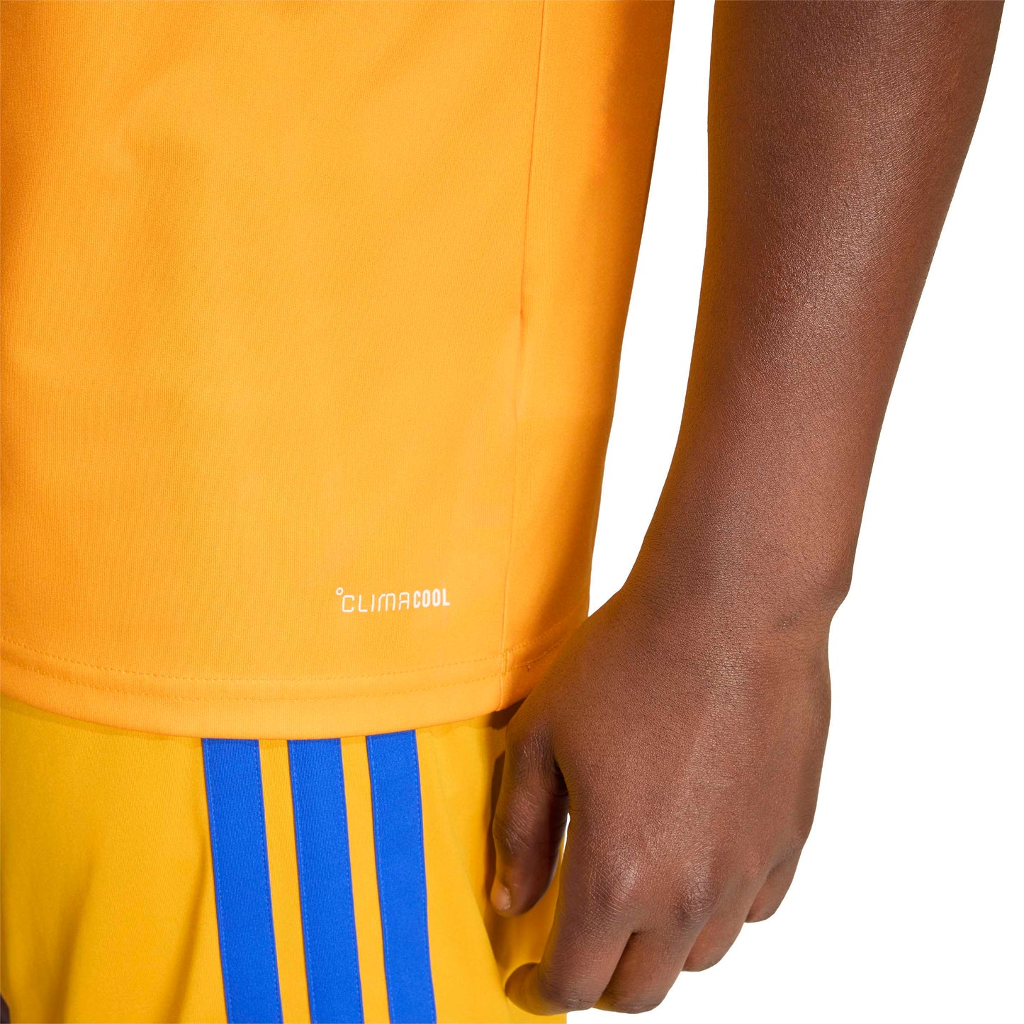 Tigres Home 26/27 Torcedor Adidas Masculino - Amarela e Azul