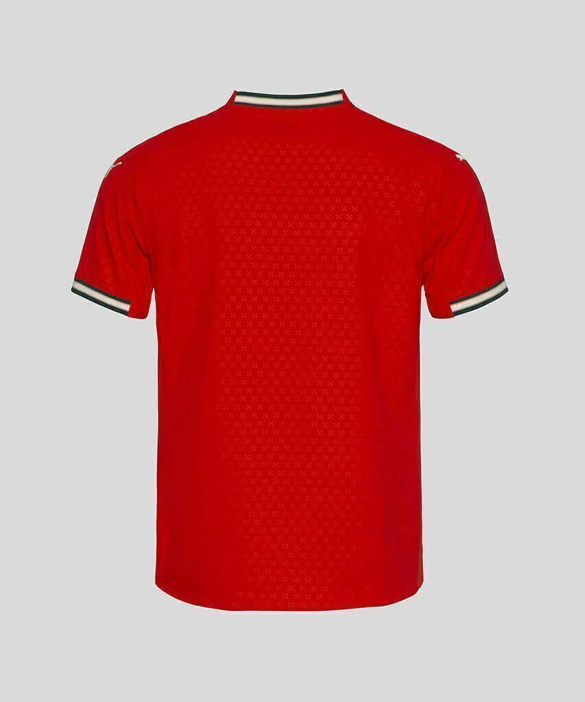 Portugal Home 25/26 Masculina Torcedor Puma - Vermelho