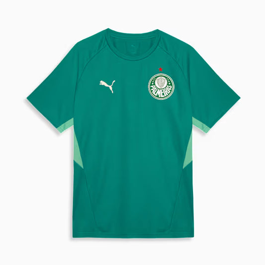 Palmeiras Edição Especial Evostripe 26/27 Masculino Torcedor Puma - Verde