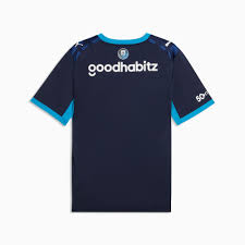 PSV Third 26/27 Torcedor Puma - Azul