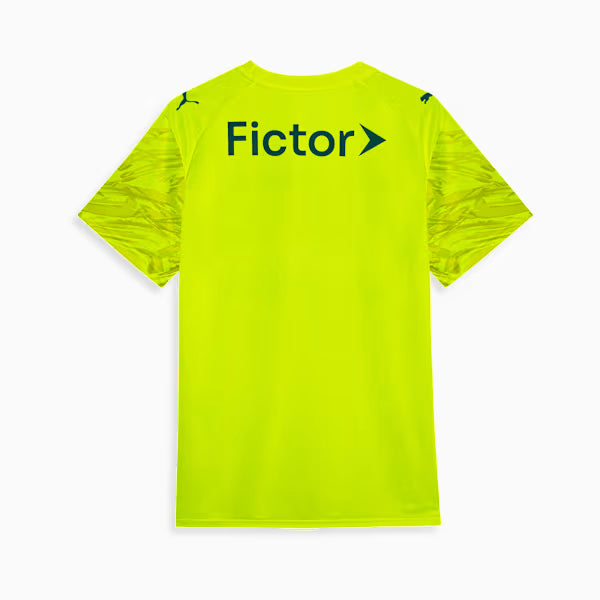 Palmeiras Goleiro 26/27 Masculino Torcedor Puma - Verde