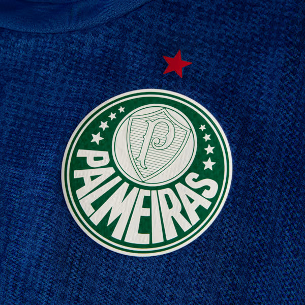Palmeiras Goleiro Manga Longa 26/27 Jogador Puma Masculina - Azul